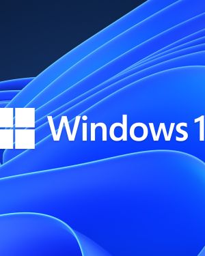 MICROSOFT OEM WINDOWS 11 PRO 64 BITS ESPAÑOL